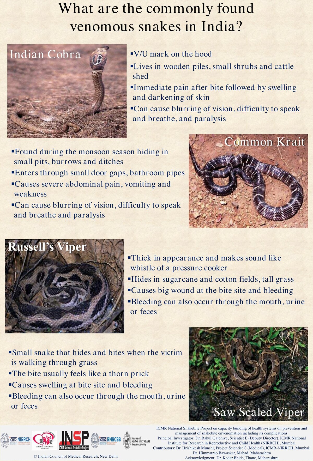 Official ICMR poster showing Indian cobra, common krait, Russell's viper and saw-scaled viper